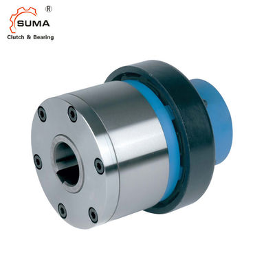 ESG2 Overrun GCr15 Indexing Freewheel Clutch